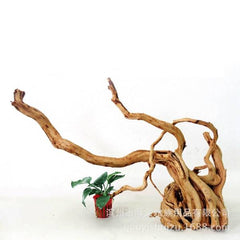 Large Driftwood for Aquarium Decorations Natural Assorted Branches Bearded Dragon