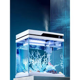 YEE Automatic Feeding Fish Tank Smart Self Cleaning Glass with Lamp 2 sizes