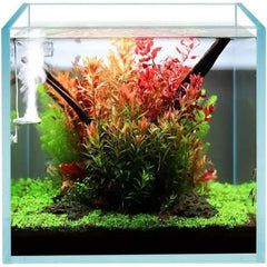 Super Clear Aquarium Cube Glass Tank (20-40cm)