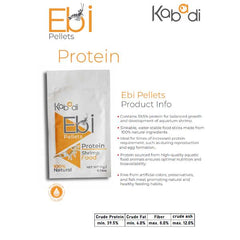 Kabadi Protein Shrimp Food 10g