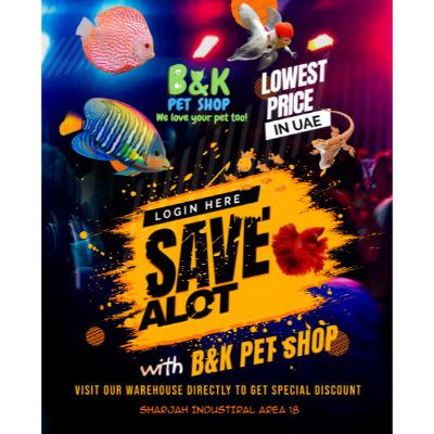 B&K PET Shop
