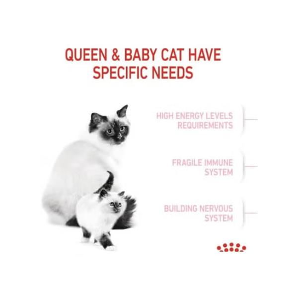 ROYAL CANIN B&K Feline Breed Nutrition Persian Adult Cat Dry Food 4kg