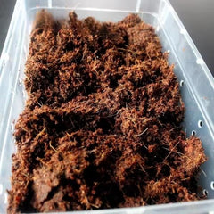 NOMOY Coco Fiber Round Small 70 gms