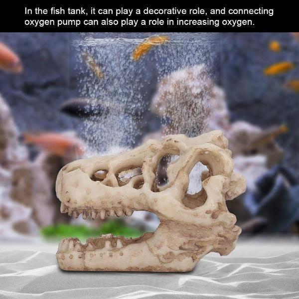 dinasour skull 8.5x5.5X4.5cm