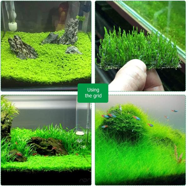 Natural Aquatic Moss Aquarium Stainless Steel Wire Mesh Net Pad