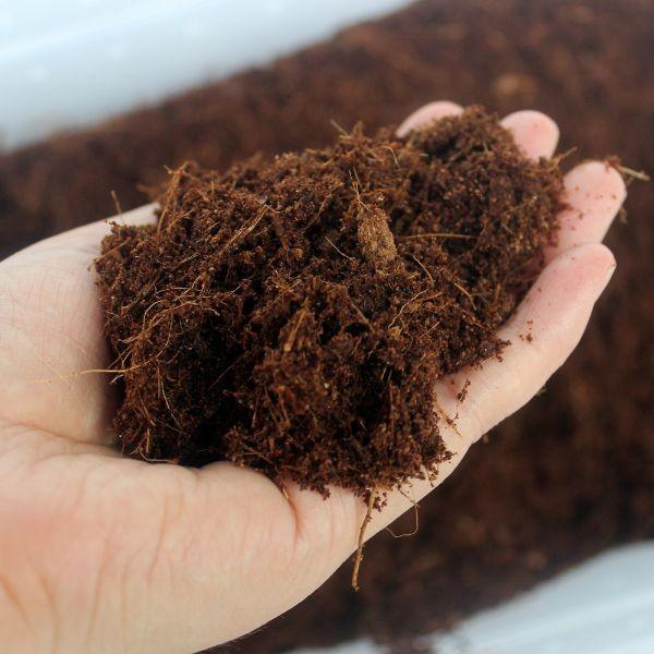 NomoyPet Substrate Natural coconut Fiber 5L