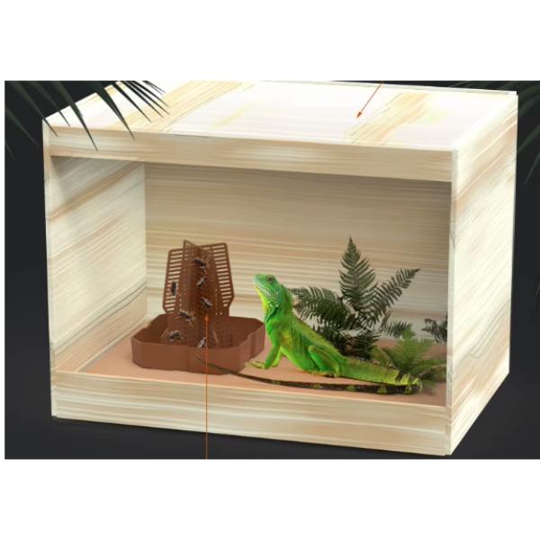 Reptile Feeding Bowl for Live Insects