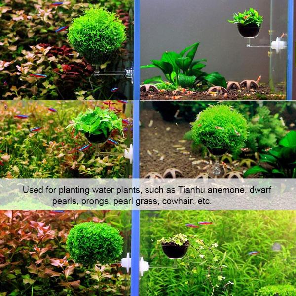 Aquatic Plant Pot Crystal Bowl Holder with Suction Cup for Aquarium Fish Tank Home Decorations