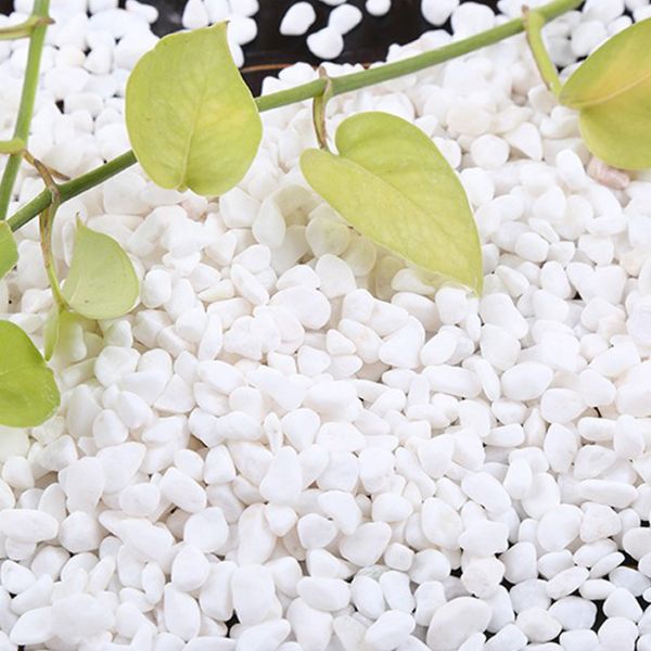 B&K Natural White Stone Fish Tank Landscape Bottom Aquarium (1Kg)