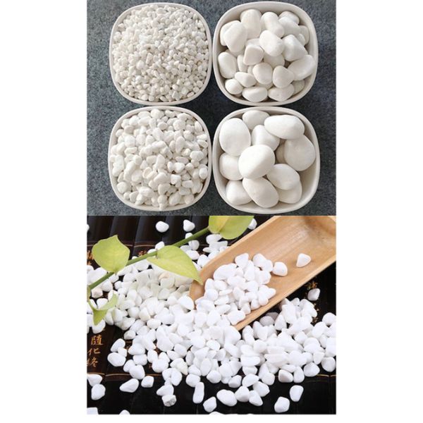 B&K Natural White Stone Fish Tank Landscape Bottom Aquarium (1Kg)