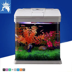 Crystal Clear Glass Aquarium Starter Kit Eco-Cycle Filtration with LED Lighting