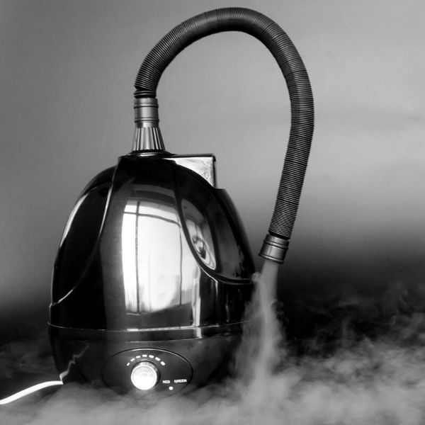 Nomoypet Reptile Fogger Humidifier, 2L 220 V Amphibians Dry Run Protection Vaporizer Fog Maker Generator with 40-150 cm Stretchy Hose for Geckos, Turtles etc