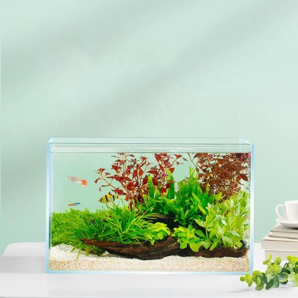 5 In 1 Ultra Clear Glass Fish Tank, Rimless Low Iron Aquarium