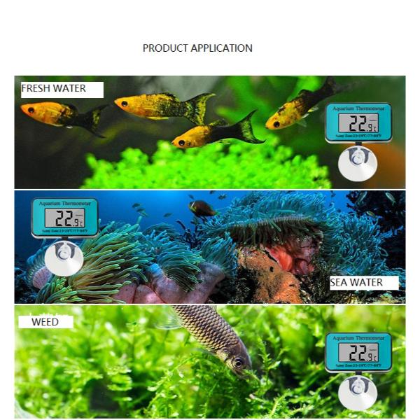 Blue Digital Aquarium Thermometer