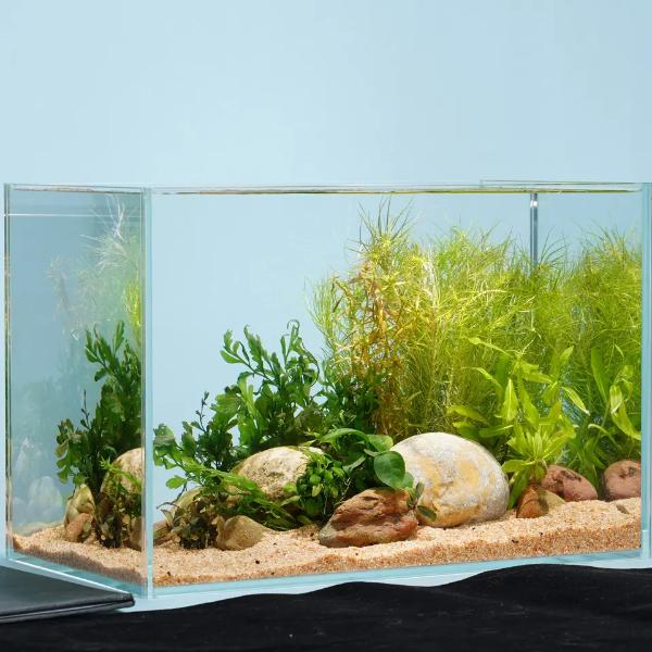 5 In 1 Ultra Clear Glass Fish Tank, Rimless Low Iron Aquarium