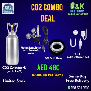 2L and 4L G5/8 Gas CO2 Steel Cylinder For Aquarium CO2 Cartridge Refill