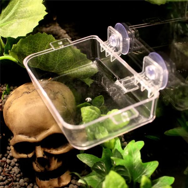 Nomoypet Translucent Plastic Food Water 2 in 1 Reptile Feeding Bowl Mealworm Anti-Escape Feeder for Tortoise Gecko Snakes Chameleon