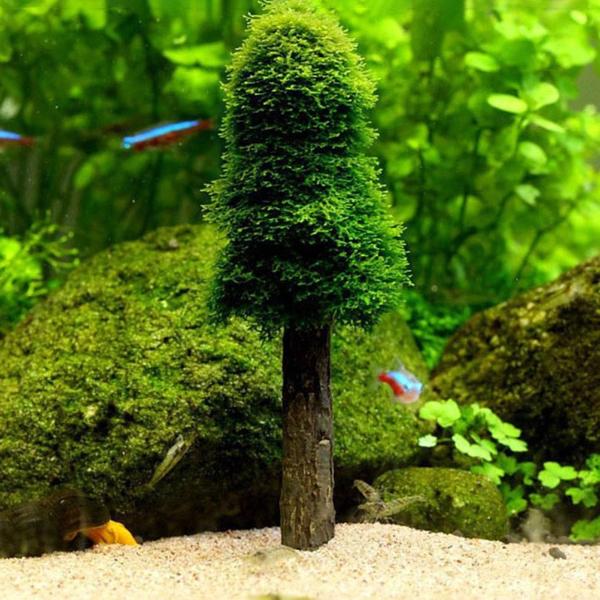 Moss Tree Plant Decor