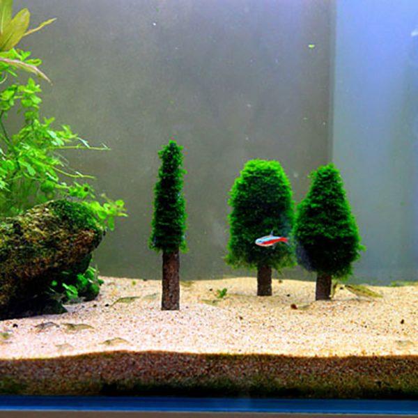 Moss Tree Plant Decor