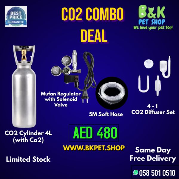 2L and 4L G5/8 Gas CO2 Steel Cylinder For Aquarium CO2 Cartridge Refill
