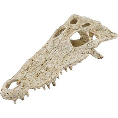 Crocodile Reptile Amphibian Skull Habitat Hide Premium Non-Toxic Resin for Aquariums & Terrariums