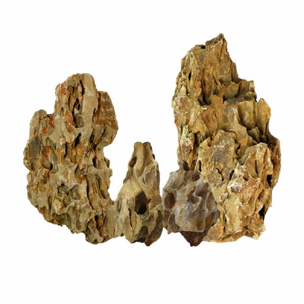 Natural Raw Dragon Rock Fish Landscape Rockery Aquarium Ornamental Plants Landscape Water Grass