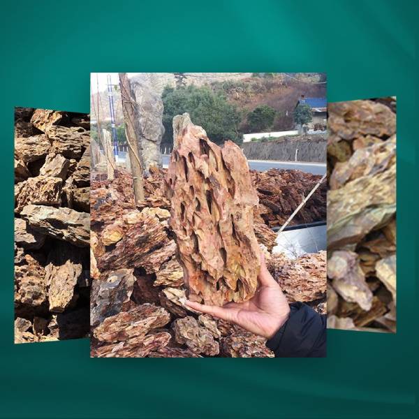 Natural Raw Dragon Rock Fish Landscape Rockery Aquarium Ornamental Plants Landscape Water Grass