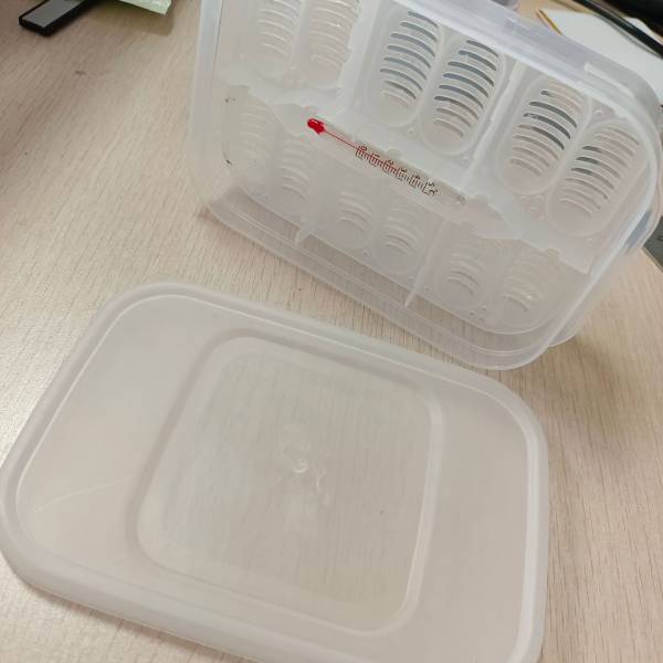 Reptile Egg Incubator Professional Hatcher Hatching Box Case Tray Plastic Breeding Incubator for Hatching Snake, Lizards, Reptiles, Gecko