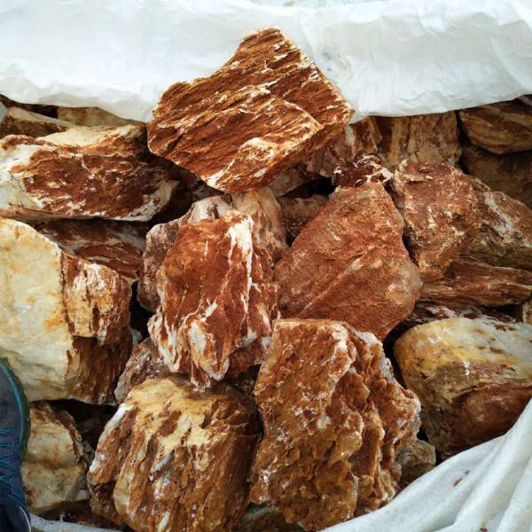 Natural Raw Chick Bone Landscape Rockery Aquarium 1KG