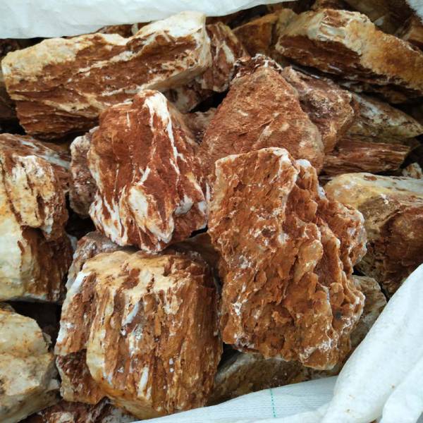 Natural Raw Chick Bone Landscape Rockery Aquarium 1KG