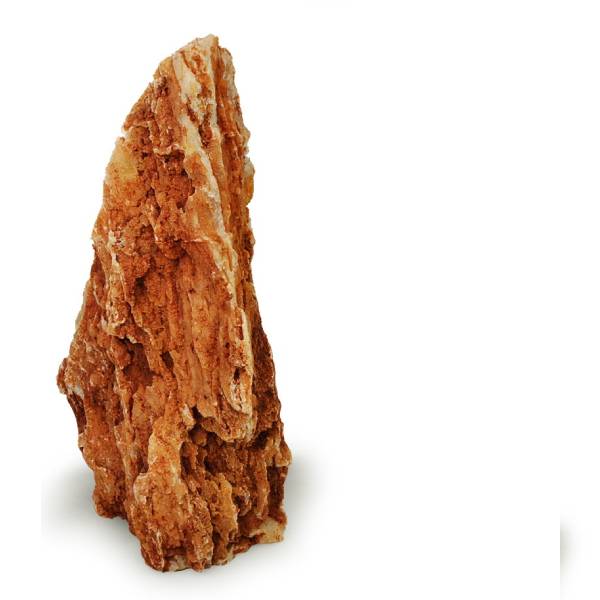 Natural Raw Chick Bone Landscape Rockery Aquarium 1KG