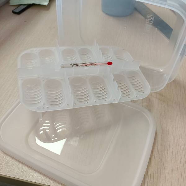 Reptile Egg Incubator Professional Hatcher Hatching Box Case Tray Plastic Breeding Incubator for Hatching Snake, Lizards, Reptiles, Gecko