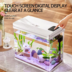 Curved Desktop Aquarium YRW-360 – 36 × 23 × 36.5 cm