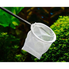 Small Fish Net with Extendable Handle
