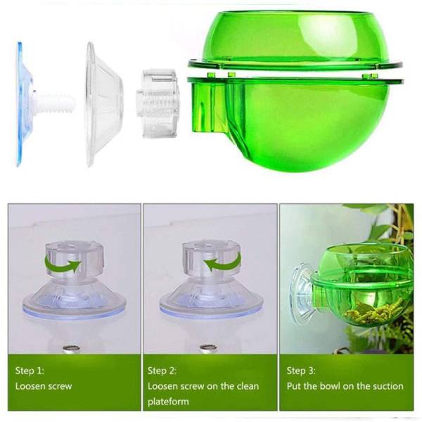 Chameleon Bowl, Reptile Feeding Feeder, Worm Live Fodder Container Water Dish Gecko Ledge Suction Cup Feeder Chameleon Supplies Accessories for Gecko Lizard Bearded Snakes Dragon