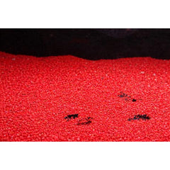 Red Cherry Sand 1 kg