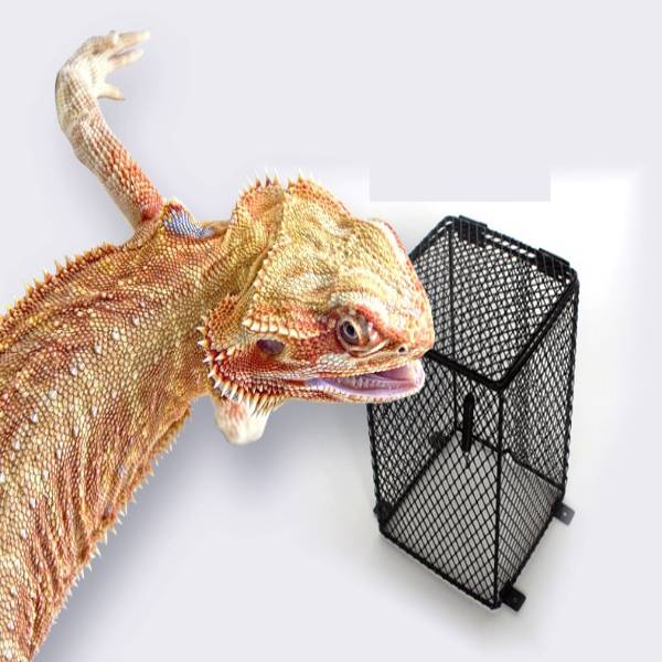 Pet Reptile Anti-Scald Lamp Mesh Cover Round Square Day Night Ceramic Light Bulb Heating Lampshade
