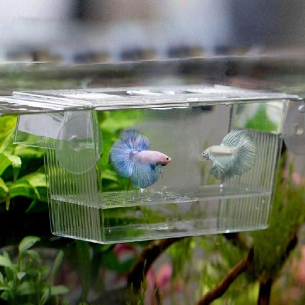 Aquarium Fish Tank Small Hatchery Breeder Box 12 x 7 x 7cm