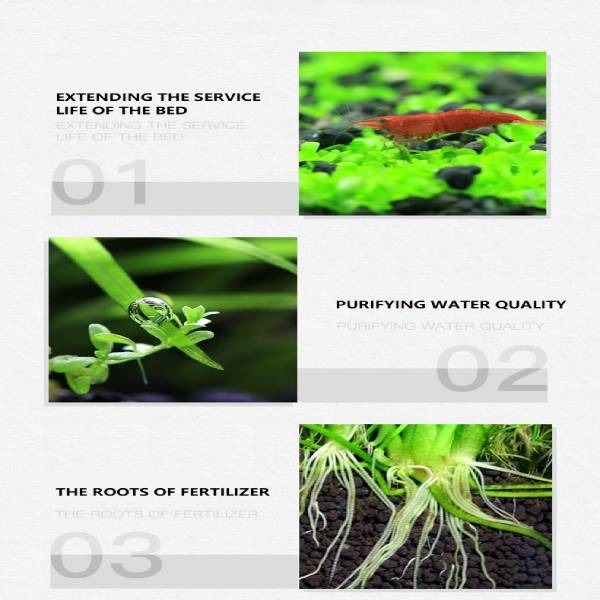 Dr. Tank Water Grass Base Power Ball Promote Root Growth