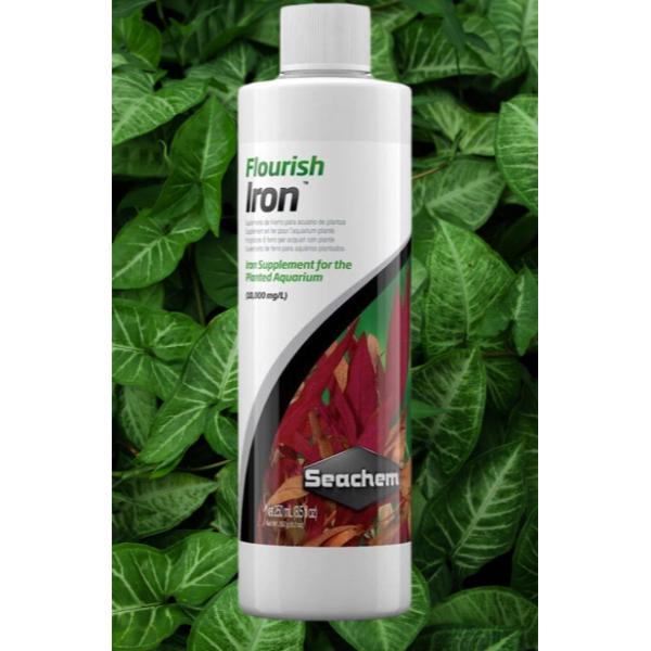 Seachem Flourish Iron Fertilizer Supplement For Aquarium Plant – 100ML & 250 ML