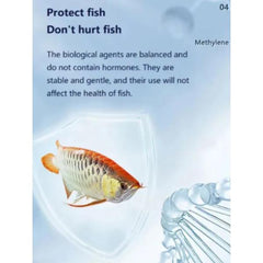 YEE Methylene Blue 300ml and 650ml Treatment for Bacterial Infections