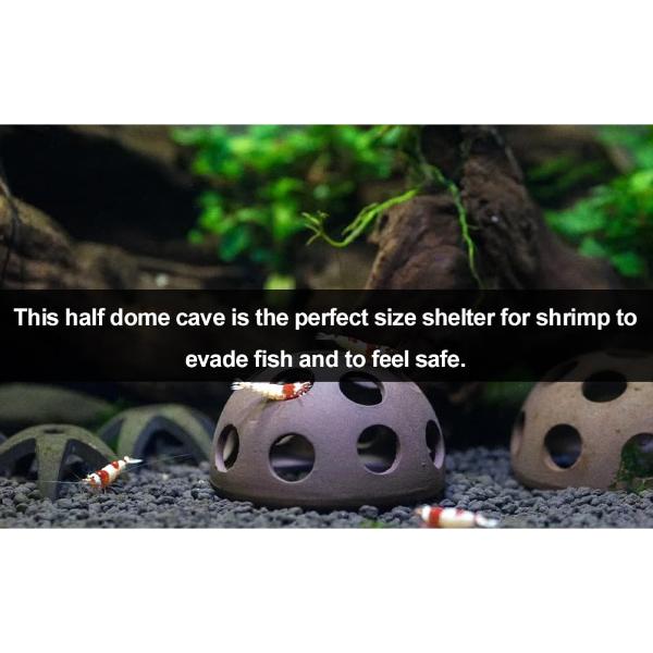 Shrimp Hide Half Ball 5.5cm