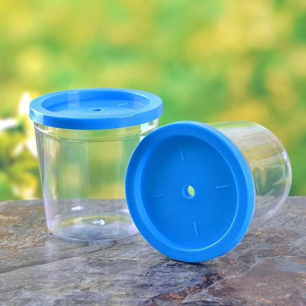 Small Fish Tank Cup for Betta Random Color (7x8cm) 5pcs