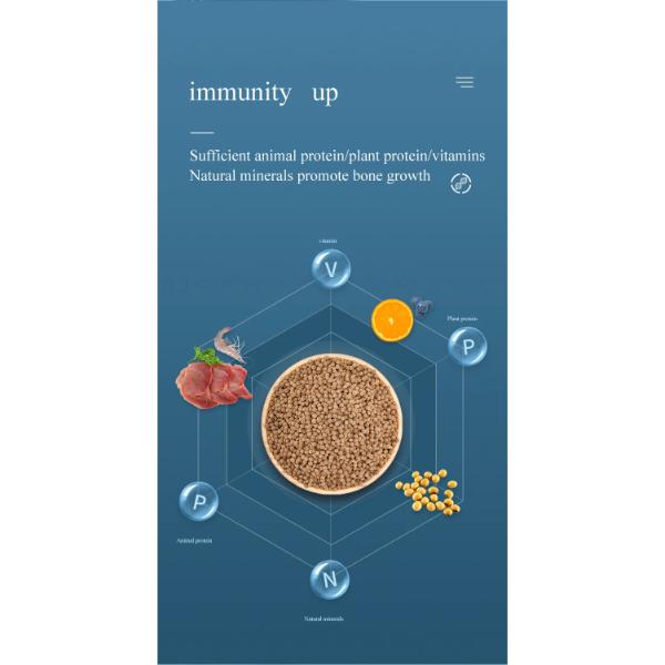 Cichlid Top Fish Food 100g and 260g Rich in Calcium and Vitamins