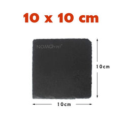 Turtle Reptile Rock Food Plate Grinding The Nail 3 Sizes