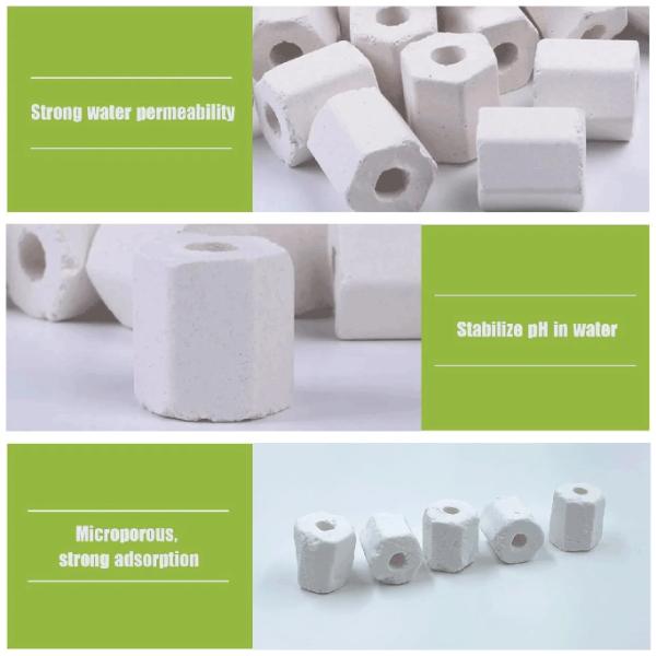 Biological Filter Media Ceramic Ring Hexagon 500g