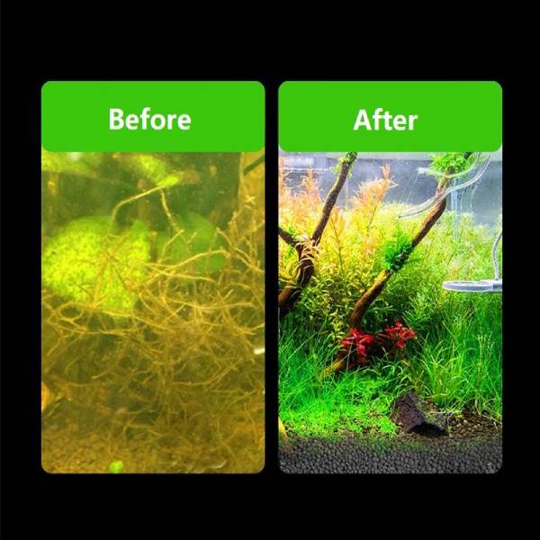Dr. Tank Substrate Fertilizer for Aquatic Plant Root Growth Nutrient 60g/130g/500g