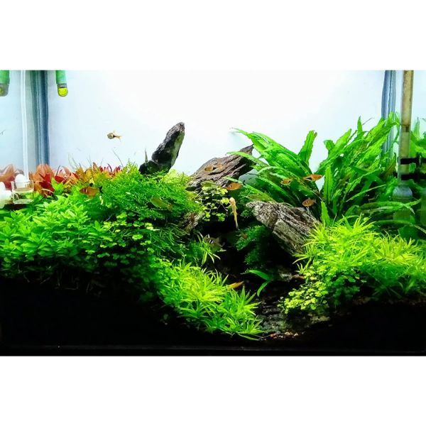 WRGB ULTRA SLIM SUPER WHITE bright Flat LED Light - New Design 6 Models