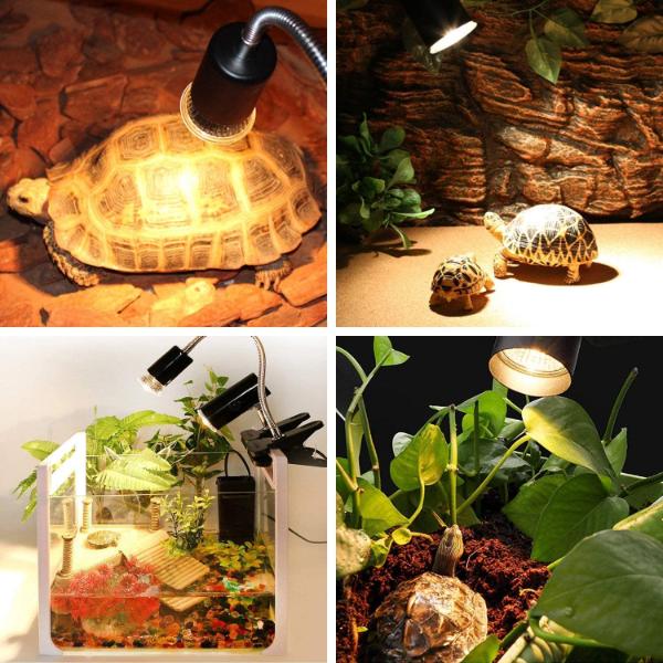 B&K –Turtle Warming Basking Lamp 25W, 50W and 75W UVA + UVB Full Spectrum Sun Lamp Sunbathe Heat Lamp/Bulb/Light for Reptiles Tortoise