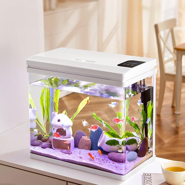 Curved Desktop Aquarium YRW-360 – 36 × 23 × 36.5 cm